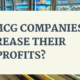 HOW FMCG COMPANIES INCREASE THEIR PROFITS (1)